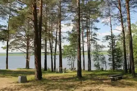 Бузим Красноярск - 9