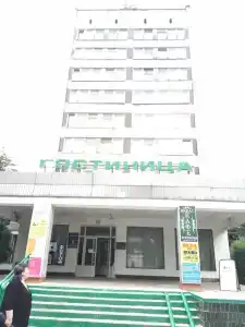 Подснежник - 1