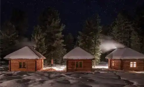 Снежный барс - 16