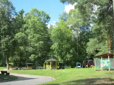 Пионер - 15