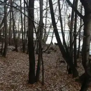 Майами - 7