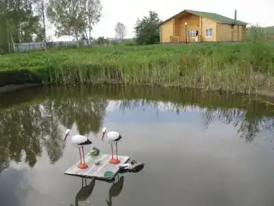 Мещерский городец - 2
