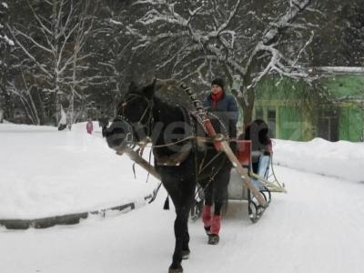 Голицыно - 29