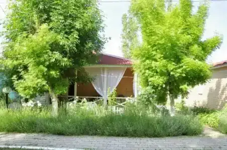 Песчаный Берег - 43