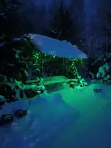 Медвежье урочище - 35