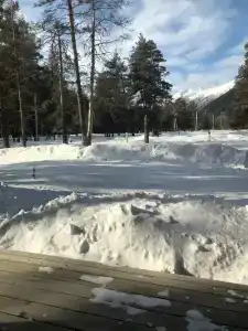 Лесной Кот - 18