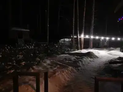 Дача в соснах - 28