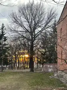Электроник-Дубрава - 13