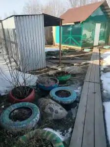 Полина - 1