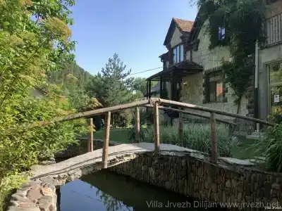 Eco Garden - 1