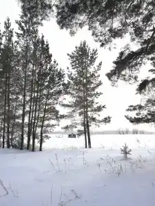 Папина Рыбалка - 66