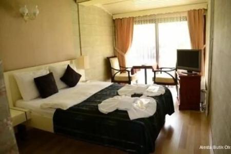 Alesta Butik Otel - 0