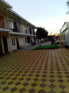 Орел - 6