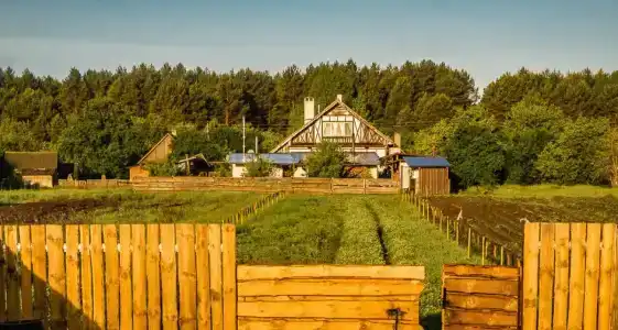 Беловежское Поместье - 78