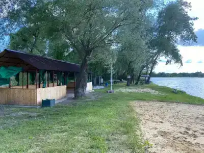 Березка - 4
