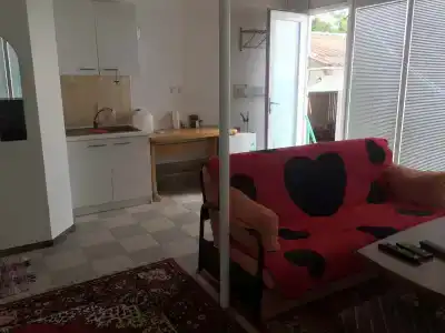 Жемчужный - 74