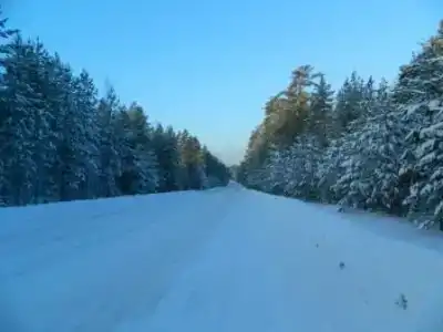 Жемчужина - 1