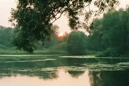 Варзи-Ятчи - 0
