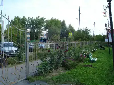 Светлый - 2
