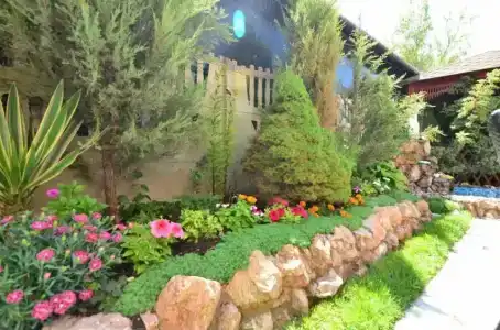 Золотой лев - 32