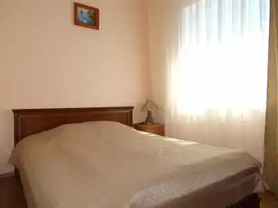 Дельфин - 19
