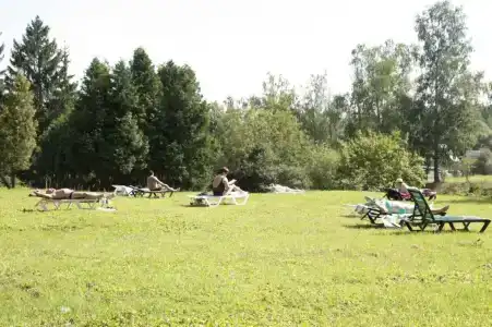 Зеленая роща - 39