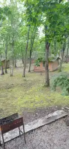 Гринвилль - 29