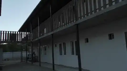 Адениум - 1