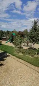 Изумрудный лес - 13