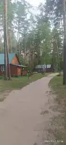Дружба - 15