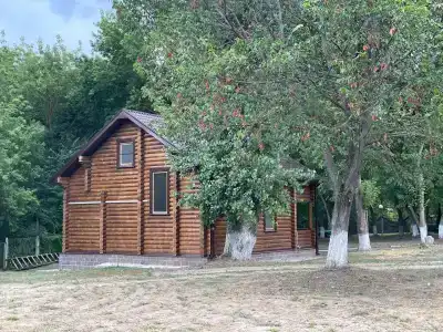 Дон - 11