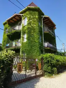 Замок Алустон - 49