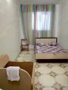Сосна и Пальмы - 28