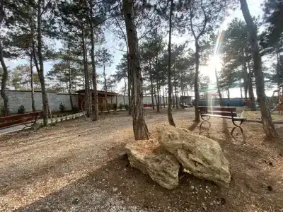 Песчаный берег - 42