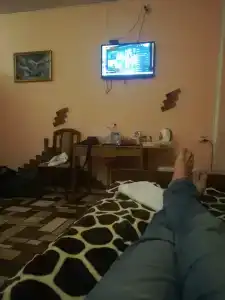 Фламинго - 38
