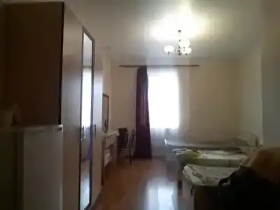 Народный - 33