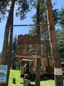 Лесной Кот - 34