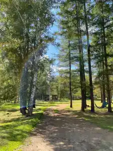 Спутник - 58