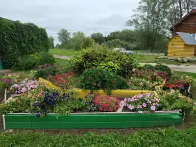Березовка - 4