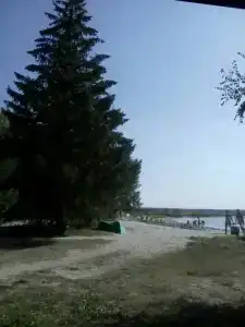 Березка - 22