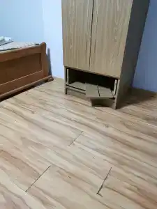 Магнолия Мисхор - 27