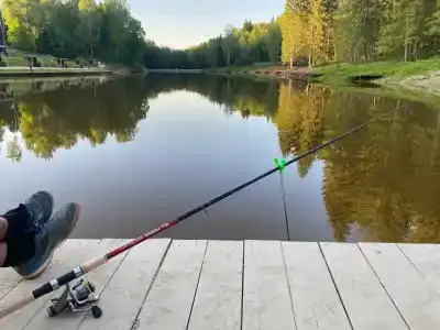 Forest Fishing - 2
