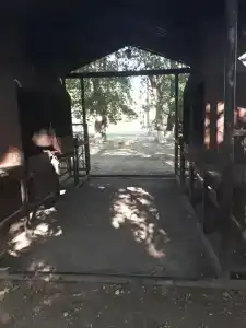 Нептун - 4