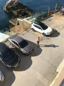 Эллинг Дельфин - 5