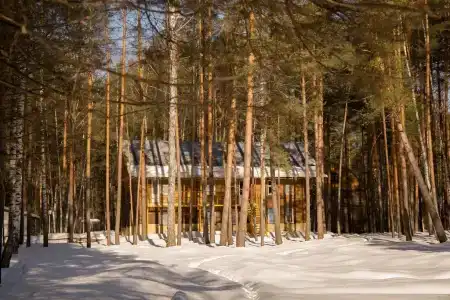 Русский лес - 17