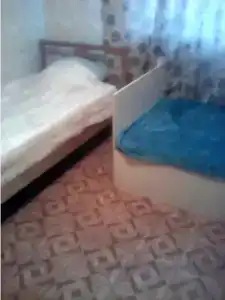 Графиня - 24