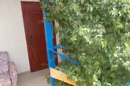 Наутилус - 23