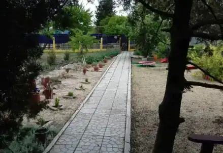 Вероника - 15