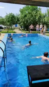 Зеленые ворота - 10