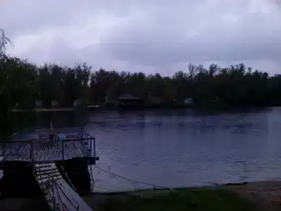 Бодрость - 51